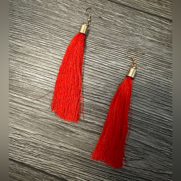Long fringe tassel earrings - Picture 1 of 2